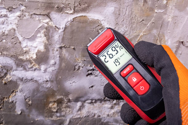 Best Emergency Mold Removal  in Manche North Shore, CA